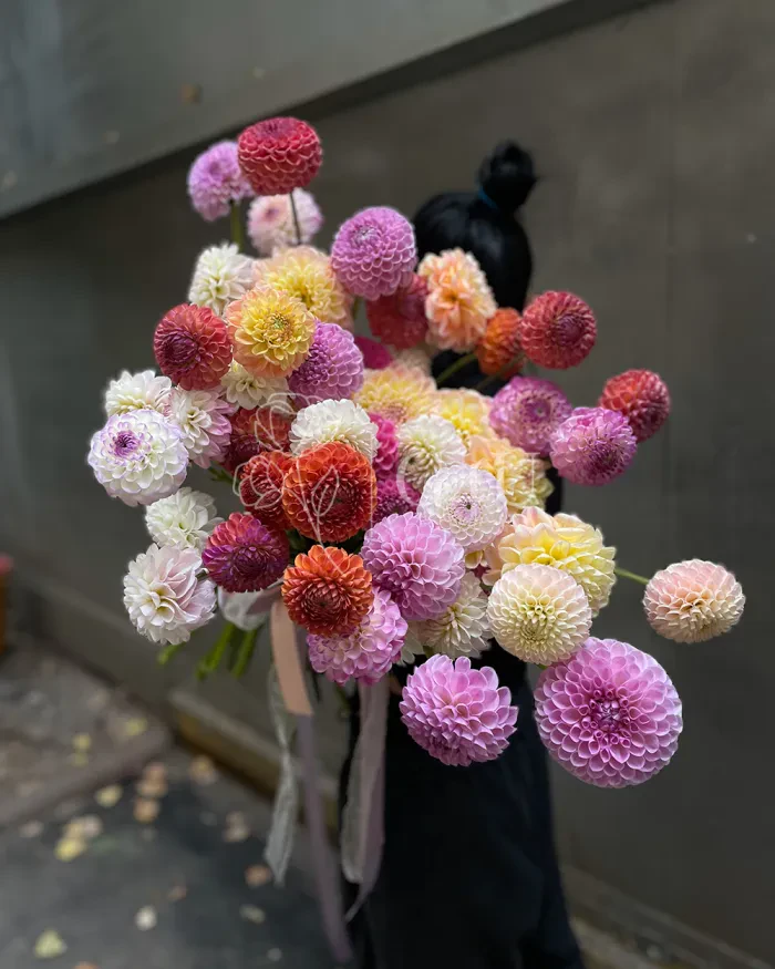 Заказать Моно букет из георгинов в Алматы