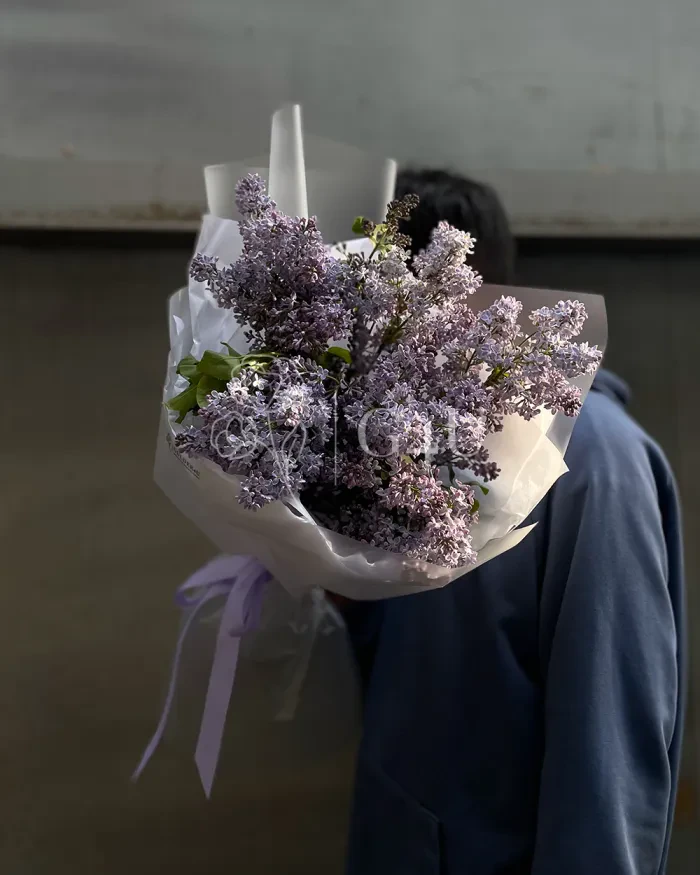 Заказать Букет сирени "Cordelia" в Алматы