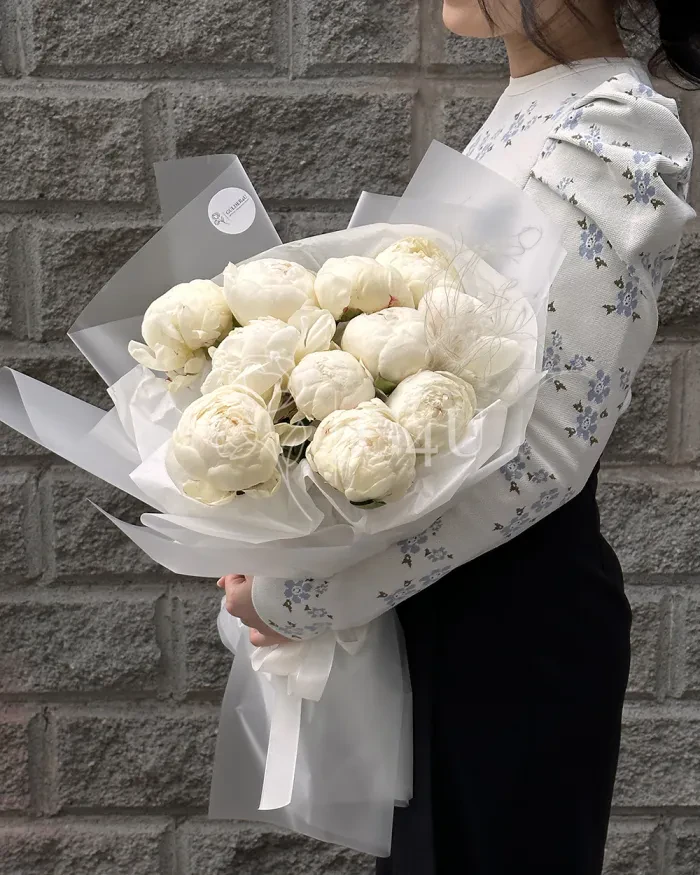 Заказать Букет из 11 белых пионов в Алматы