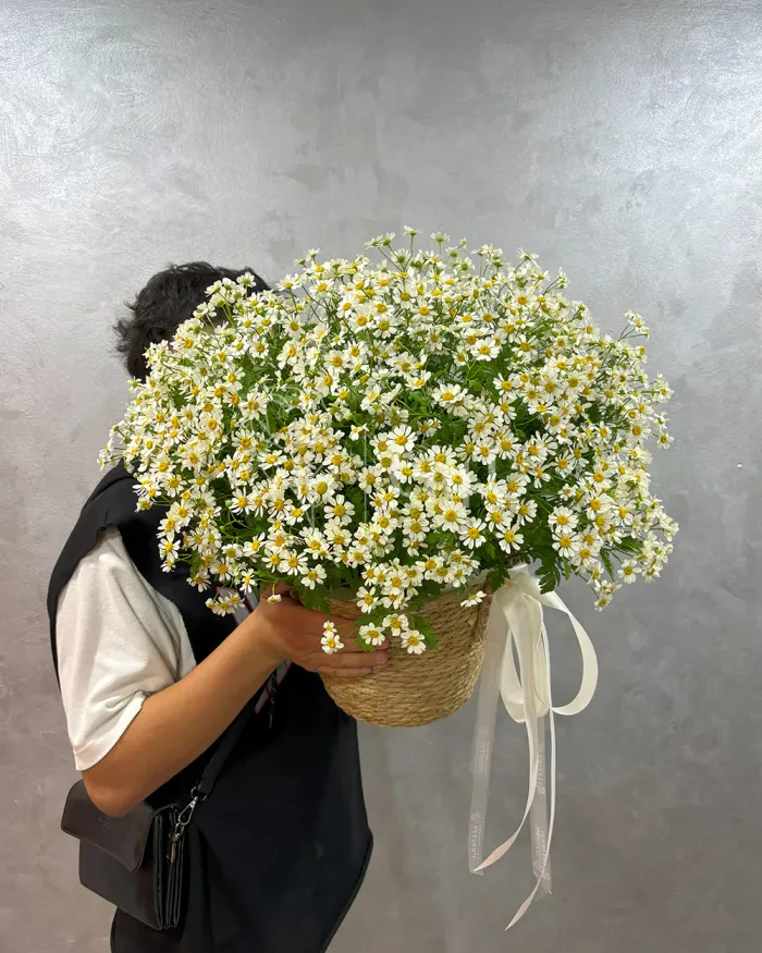 Заказать Монобукет из ромашек в Алматы